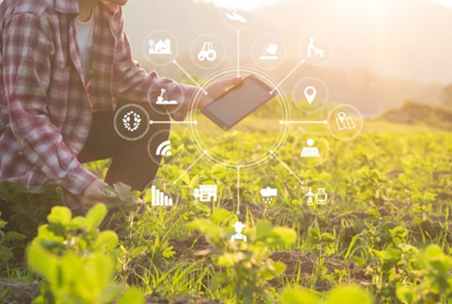 man during smart farming