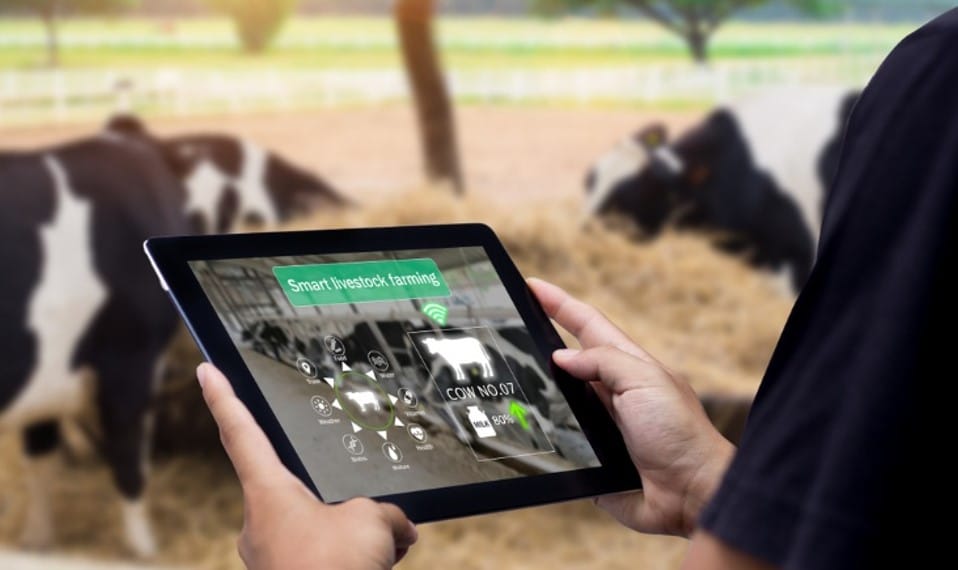 smart livestock farming
