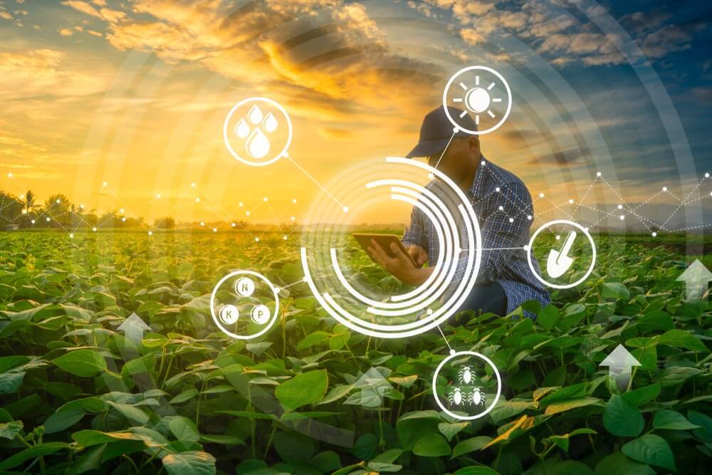 Farmer in field analyzing crops with tablet