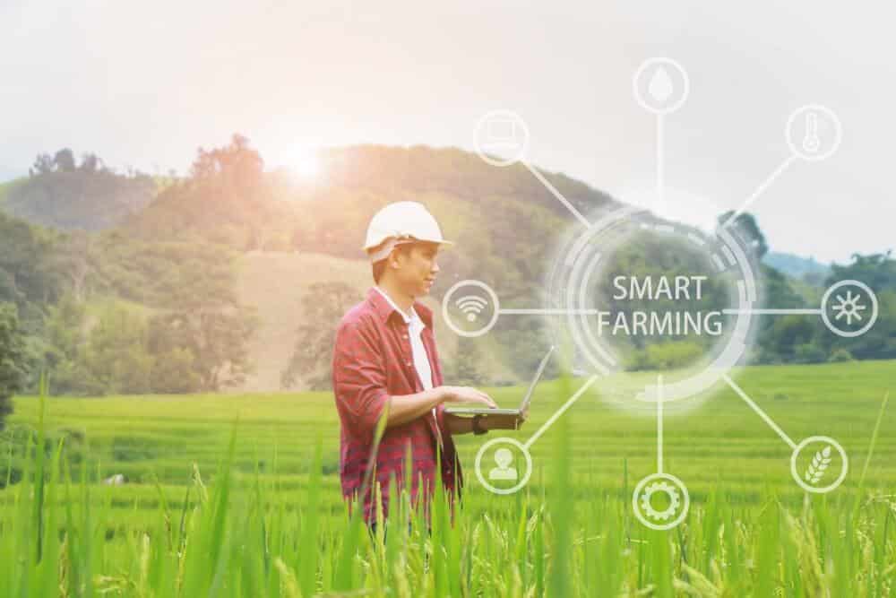 Man in white hard hat walking through field with laptop to analyze crops