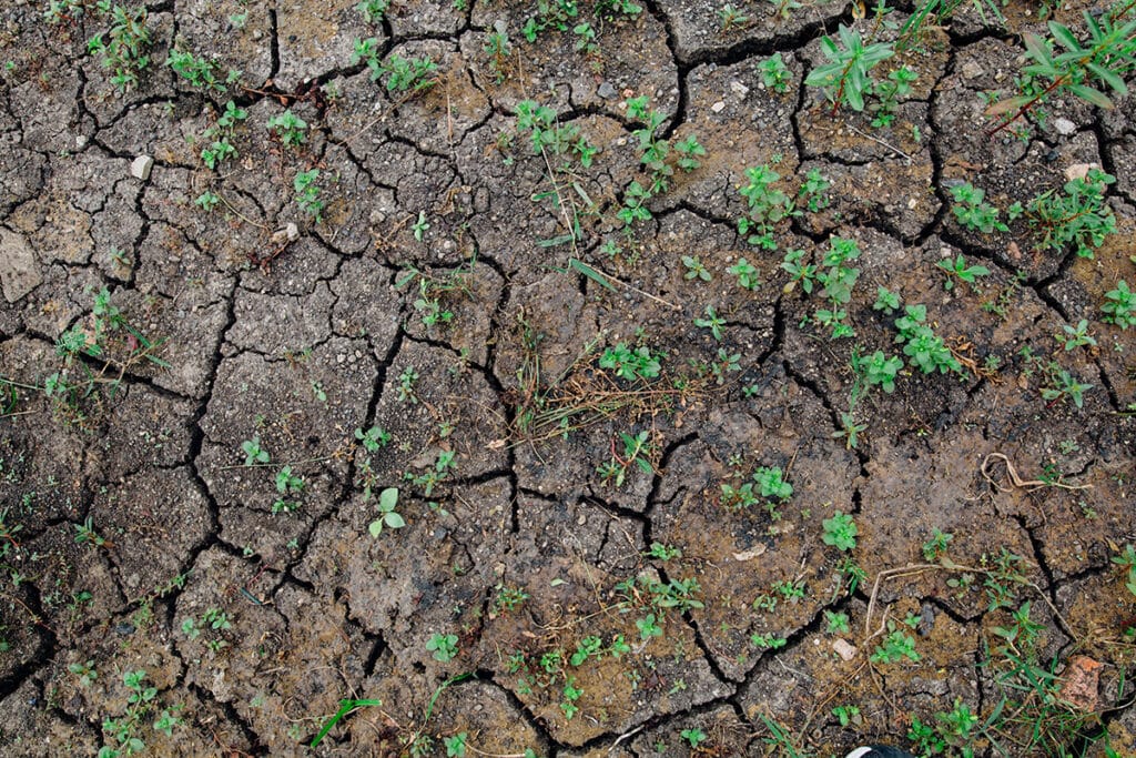 dry cracked soil